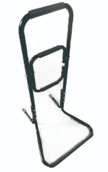 A stand assist-bed ladder